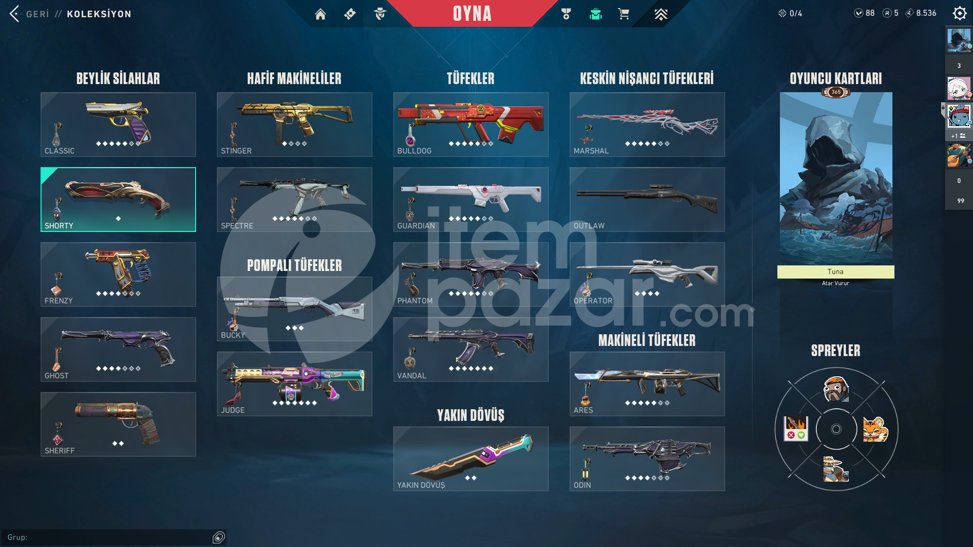TR SERVER| 5623 TL YATIRILMIŞ MAİNLİK EFSO