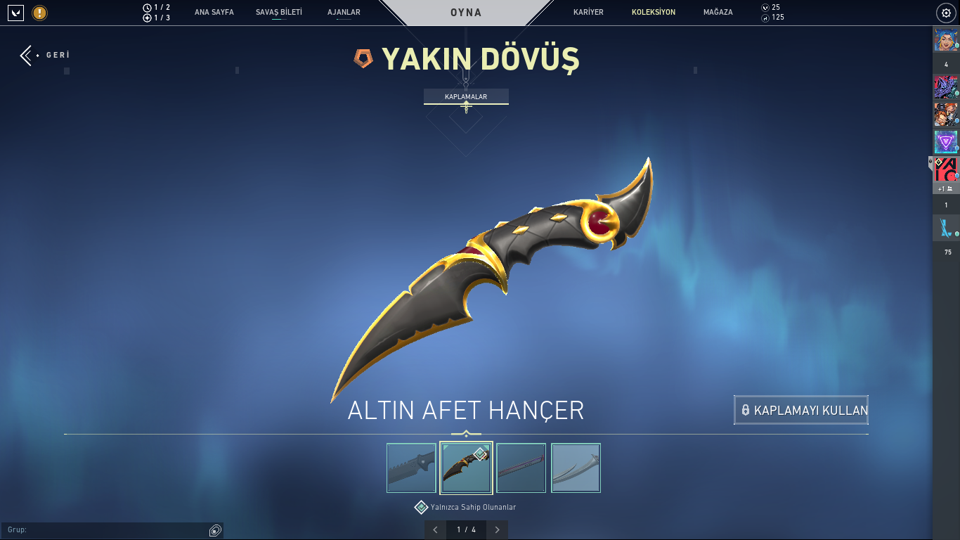 UCUZA YAĞMACILI GÜZEL HESAP 