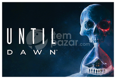 Until Dawn