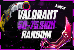 VALORANT 50-75 SKİN RANDOM %100TR
