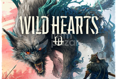 WILD HEARTS