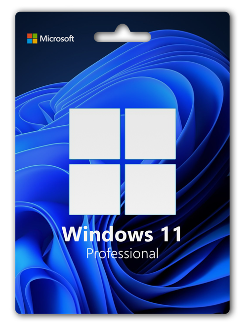 WİNDOWS 11 PRO KEY