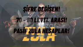 ZULA 70-80 LEVEL ARASI RANDOM HESAP